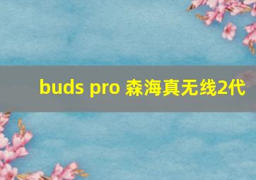 buds pro 森海真无线2代